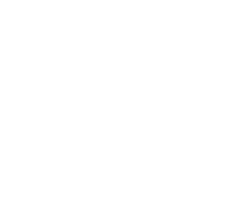 White logo of S2X SRL featuring a stylized S and 2X with a heartbeat line, representing innovation in healthcare technology.